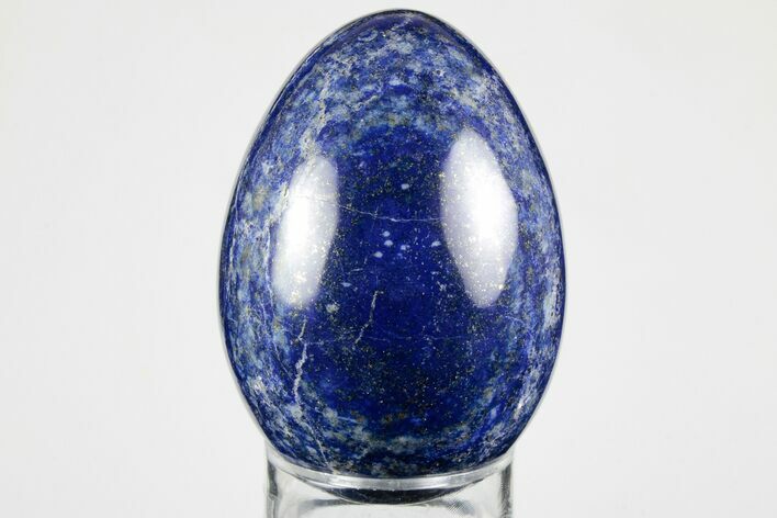 Polished Lapis Lazuli Egg - Pakistan #194512